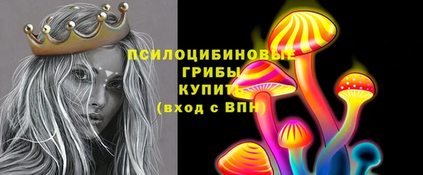 спиды Бронницы