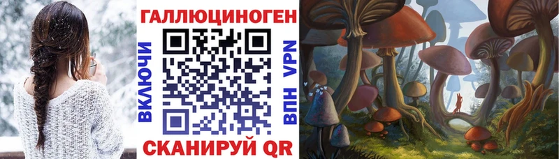 где найти наркотики  Гурьевск  Псилоцибиновые грибы Psilocybe 